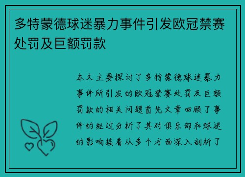 多特蒙德球迷暴力事件引发欧冠禁赛处罚及巨额罚款