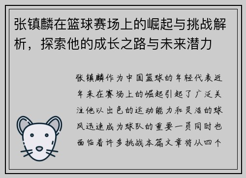 张镇麟在篮球赛场上的崛起与挑战解析，探索他的成长之路与未来潜力