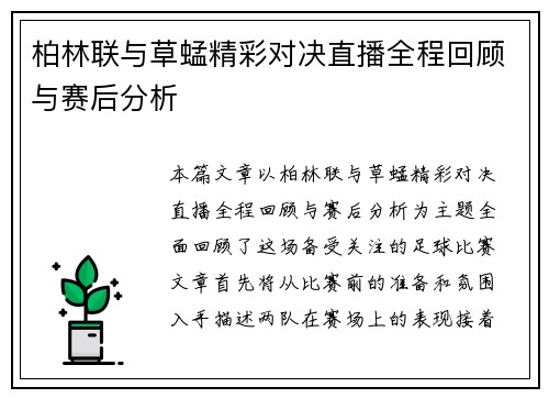 柏林联与草蜢精彩对决直播全程回顾与赛后分析