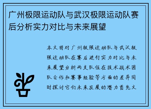 广州极限运动队与武汉极限运动队赛后分析实力对比与未来展望
