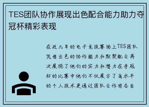 TES团队协作展现出色配合能力助力夺冠杯精彩表现