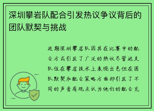 深圳攀岩队配合引发热议争议背后的团队默契与挑战