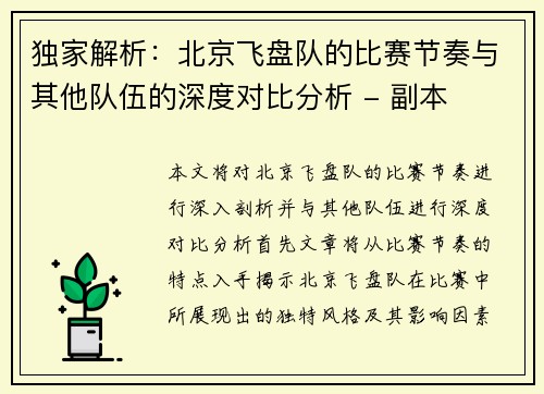 独家解析：北京飞盘队的比赛节奏与其他队伍的深度对比分析 - 副本